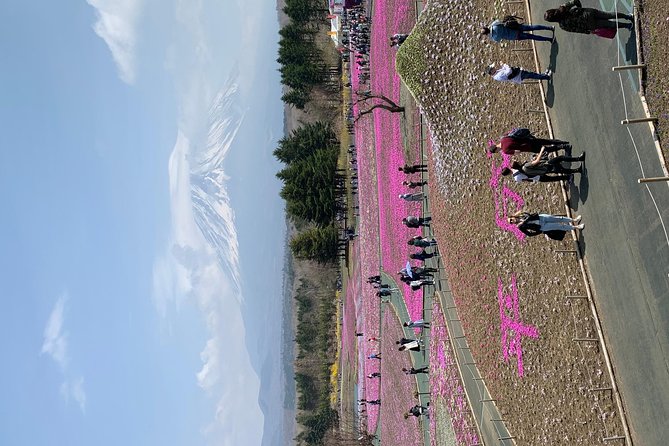 Private Tour to Mt. Fuji and Hakone (Fully Licenced Operator) - Traditional village options and extra stops