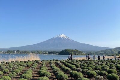 Private Tour to Mt Fuji and Hakone with English Speaking Driver - Owakudani: sulfur, steam, and black eggs