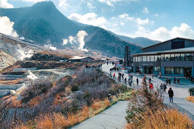 Private Tour to Mt Fuji and Hakone with English Speaking Driver - Oshino Hakkai and the foothills of Fuji
