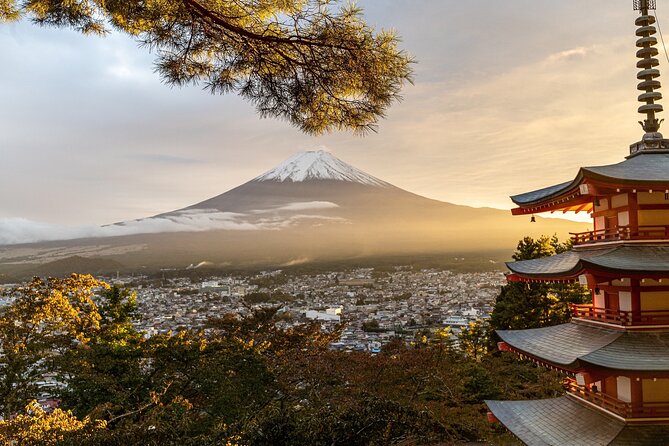 Private Tour to Mt Fuji and Hakone with English Speaking Driver - Kitaguchi Hongu Fuji Sengen Shrine