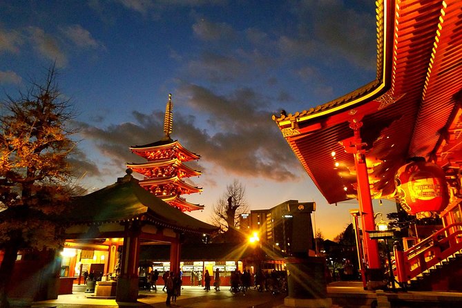 Private tour Tokyo - The Harmony of Modernity and Tradition - Key points to know before booking