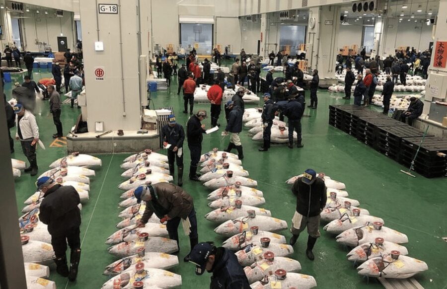 Private Toyosu & Tsukiji Market Adventure with Tuna Auction - Why Toyosu’s tuna auction is worth the alarm clock
