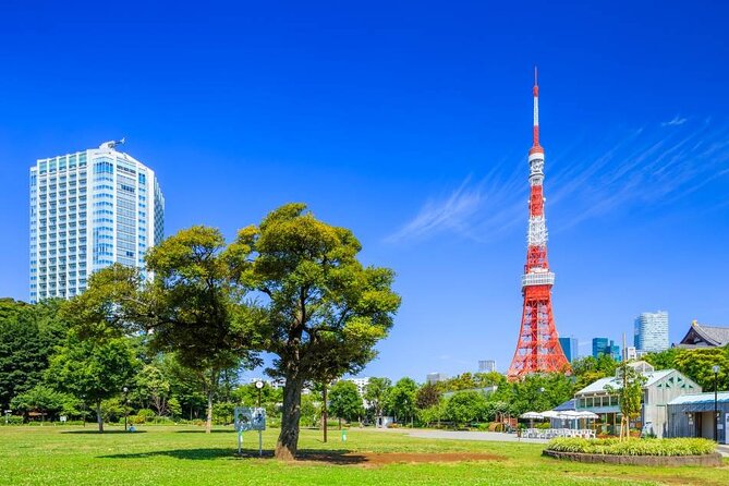 Private Transfer for Custom Day Tour in Tokyo - Why a private car helps in Tokyo