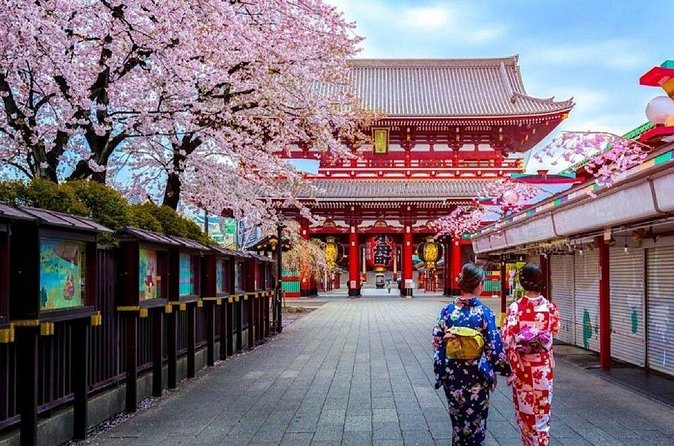 Private Transfer for Custom Day Tour in Tokyo - Sumida River: a one-hour change of pace
