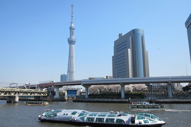 Private Transfer for Custom Day Tour in Tokyo - Driver or guide: choose the service you actually need