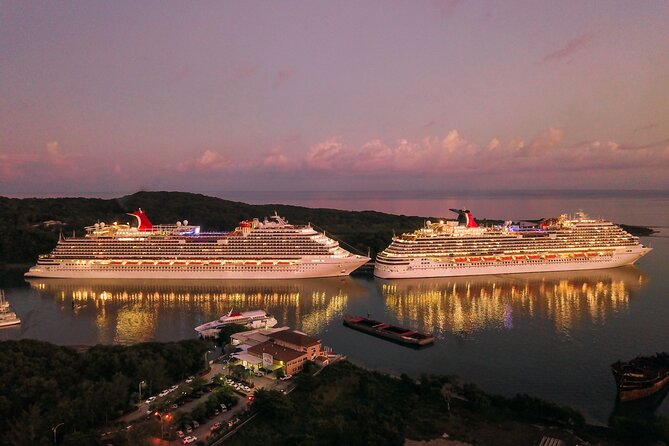 Private Transfer from Tokyo Hotels to Yokohama Cruise Port - Choosing the right vehicle for your group