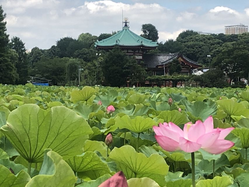 Private Ueno Park Architecture Tour - Practical planning for your visit