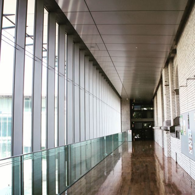 Private Ueno Park Architecture Tour - What the private format adds