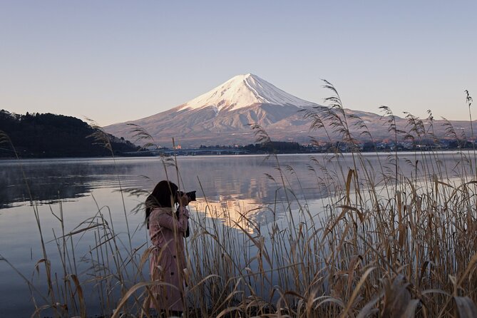 Private Unforgettable Mt Fuji Tour with English Speaking Driver - Why a private Mt Fuji day from Tokyo makes sense
