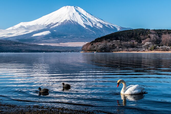 Private Unforgettable Mt Fuji Tour with English Speaking Driver - Saiko Iyashi no Sato Nemba and a slower look at rural Japan