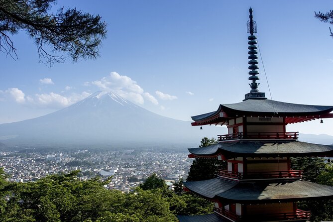 Private Unforgettable Mt Fuji Tour with English Speaking Driver - Arakura Fuji Sengen Shrine and choosing your priorities