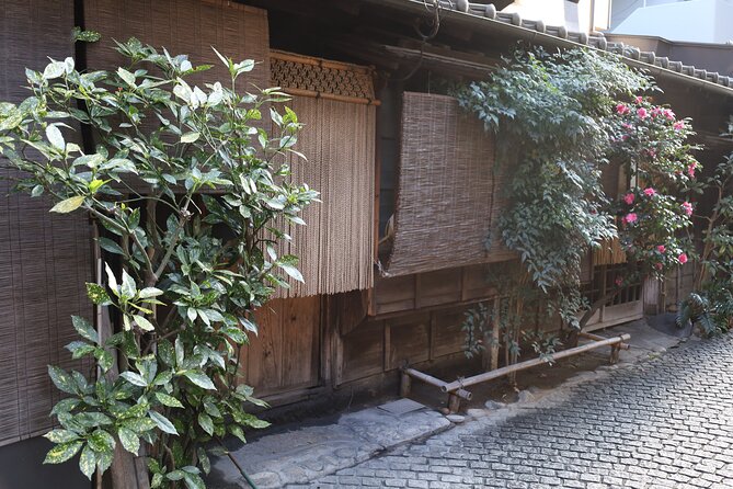 Private Walking Tour: The Little Kyoto of Tokyo, Kagurazaka - A private walk with room for questions