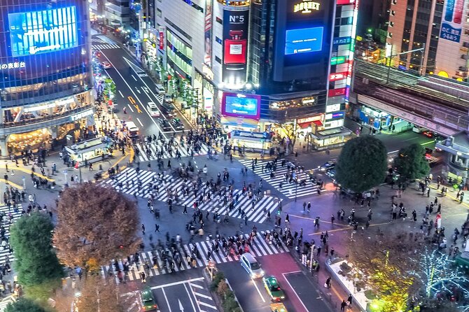 Real Anime Culture Tour in Shibuya: Food, Shopping & Game Fun - Animate Shibuya and Nintendo Store Tokyo