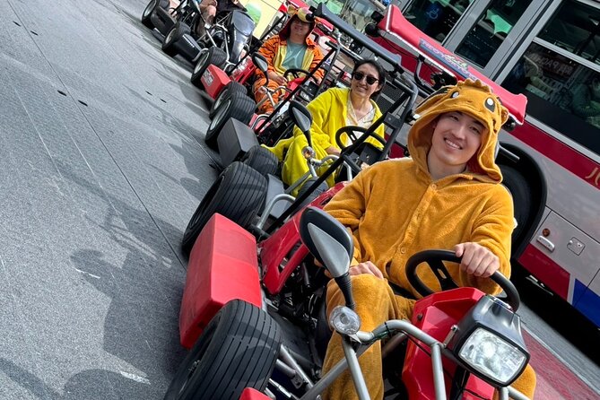 Ride Through The Streets Of Shibuya and Sinjuku By Go Kart - The license rules are the make-or-break detail