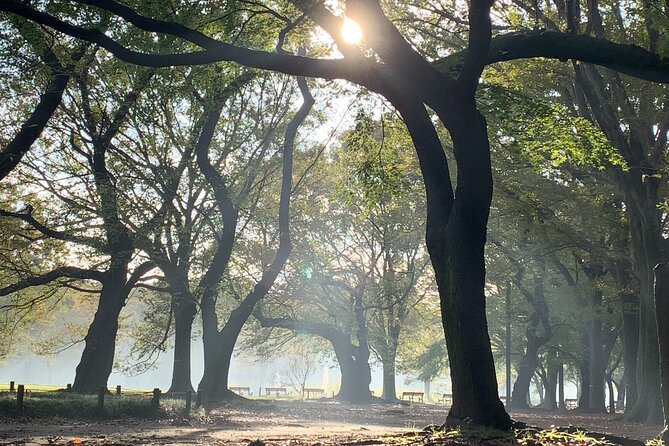 Sacred Morning Walk and Brunch Meiji Shrine - The optional Harajuku café stop