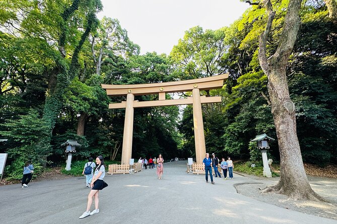 Sacred Morning Walk and Brunch Meiji Shrine - What the high ratings tell you about the experience