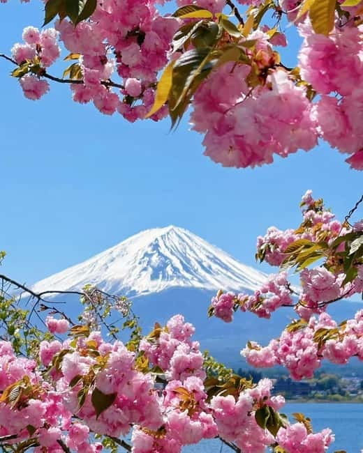 [Seasonal Limited] Mt. Fuji 5th Station &Hot Spring Day Tour - Guides, language, and the coach ride