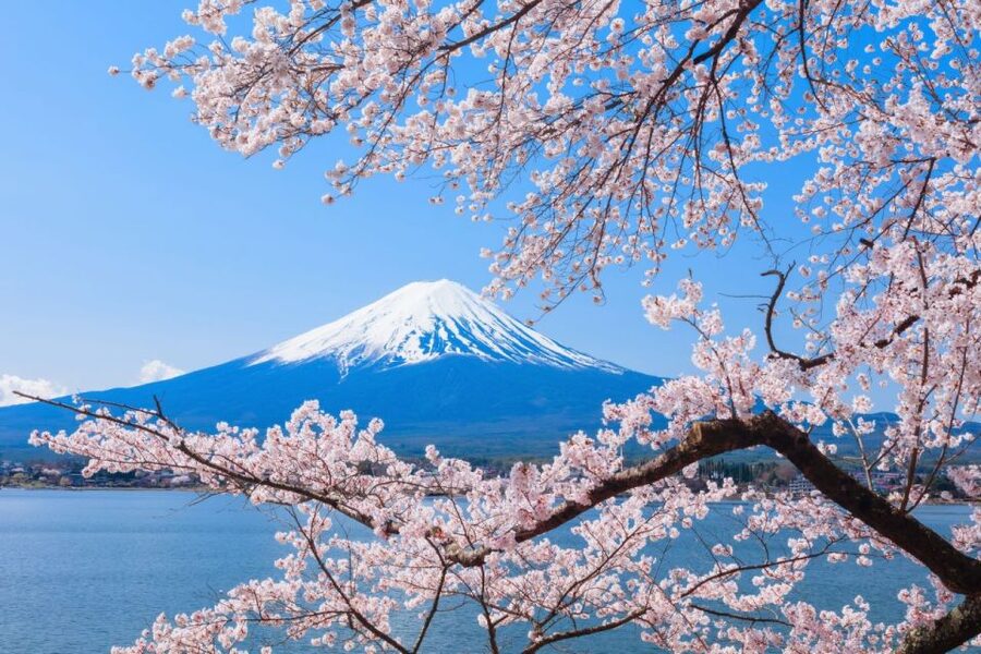 Seasonal Mt. Fuji Scenic Views, Fruit Picking and Ropeway! - The guide and the value of group transport