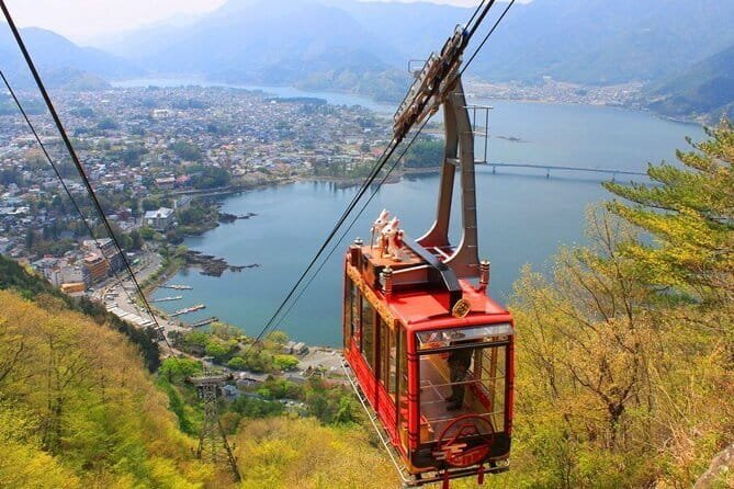 Seasonal Mt. Fuji Scenic Views, Fruit Picking and Ropeway Ride! - Key points before you book