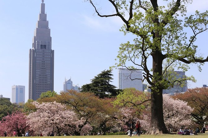 Shared Arrival Transfer : Haneda Airport to Central Tokyo City - Luggage rules that can change the price