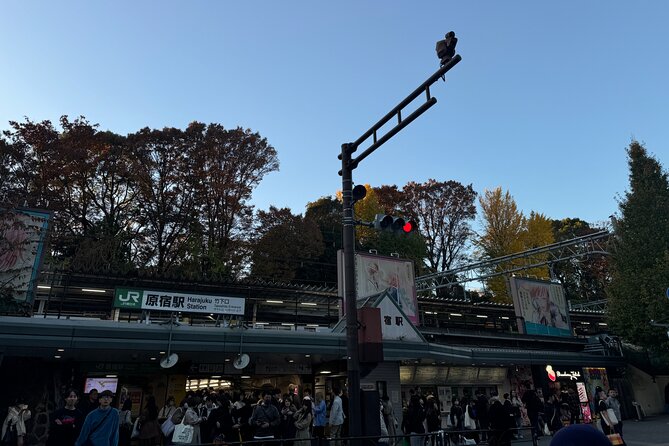 Shibuya and Harajuku Highlights Walking Tour - Key points to know before you book