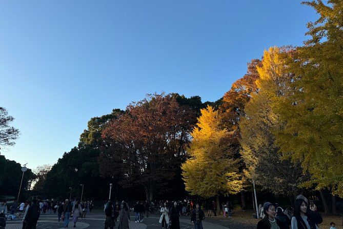 Shibuya and Harajuku Highlights Walking Tour - Why this Harajuku to Shibuya route works