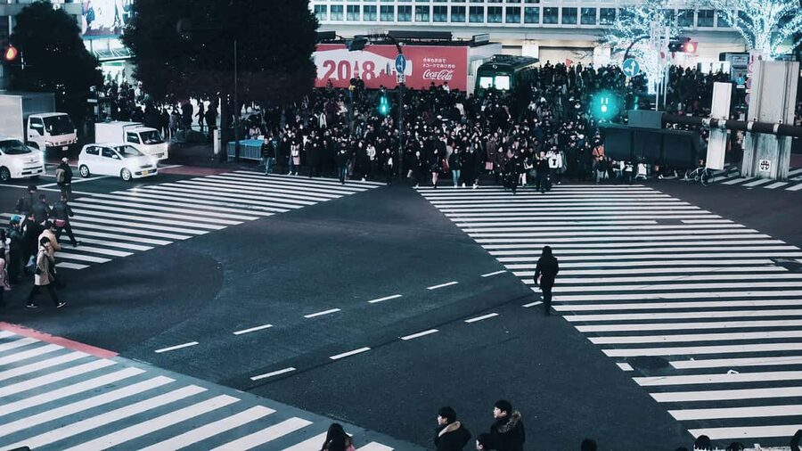 Shibuya: Crossing, Hachiko & Shibuya Sky Guided Tour - Shibuya Sky and the 45-minute view
