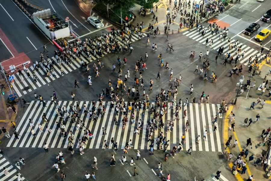 Shibuya & Harajuku: Hidden Gems & Highlights Private Tour - Who will get the most from this private walk?