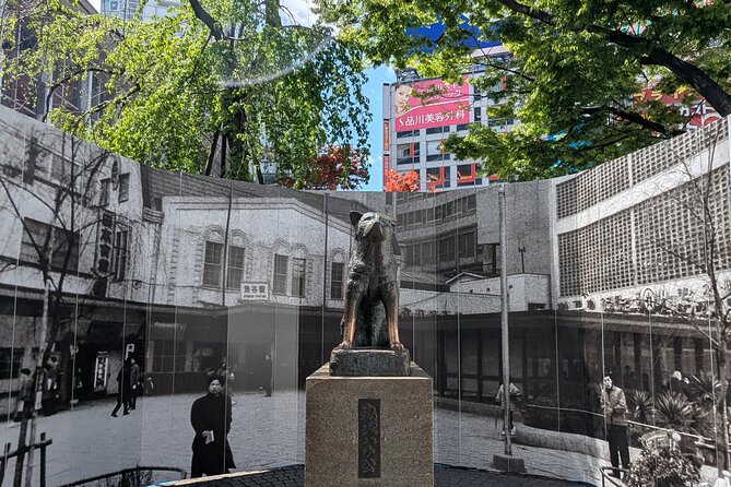Shibuya Highlights Hachiko Scramble Meiji Jingu and Sky - Why This Tour Works for a First Look at Shibuya