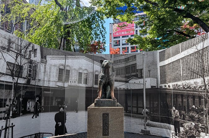 Shibuya Highlights Hachiko Scramble Meiji Jingu and Sky - Omotesando and the Route to Meiji Jingu