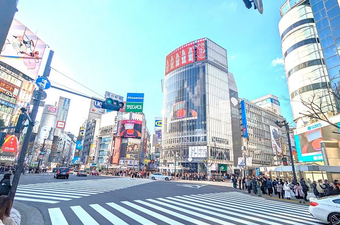 Shibuya Highlights Hachiko Scramble Meiji Jingu and Sky - Takeshita Street and Harajuku Style