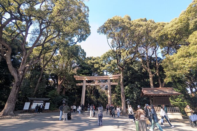 Shibuya Highlights Hachiko Scramble Meiji Jingu and Sky - Center-gai and the Sound of Youth Culture