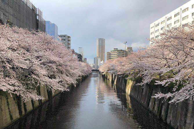 Shinjuku: Food Tour – 15 Dishes & 3 Drinks at 4 Eateries - Kabukicho: the value of a local booking