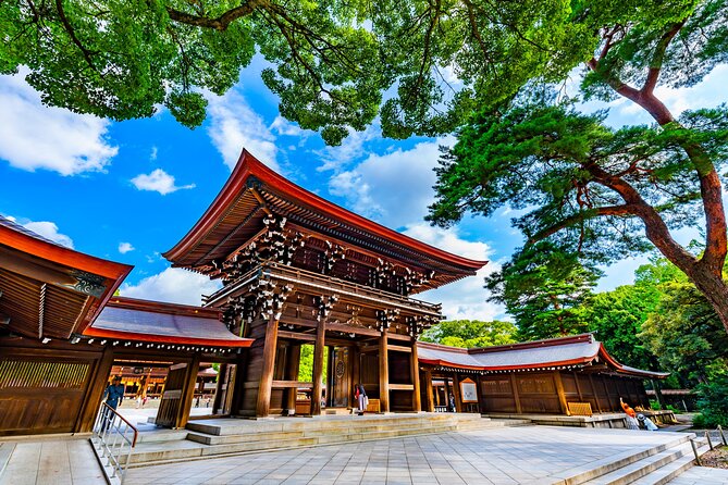 Shinto Shrine Tour: Explore Japanese Culture in Tokyo - What this private Tokyo shrine tour really offers