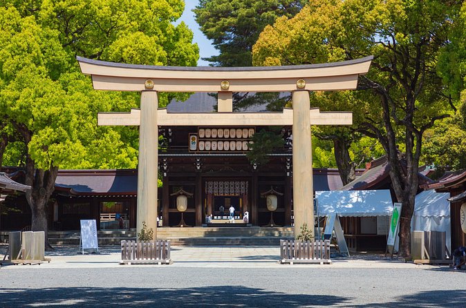 Shinto Shrine Tour: Explore Japanese Culture in Tokyo - Who will enjoy this experience most