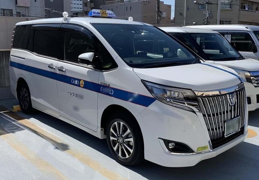 Shuttle Van Tokyo-Tour, for 4 Hours or 6 Hours+Transfer Time - Meiji Jingu: a calm shrine break near Harajuku