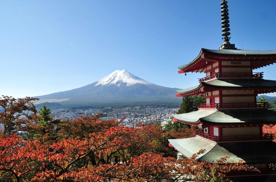 Sightseeing Day Trip to Mount Fuji and Hakone Green Number - Key points at a glance