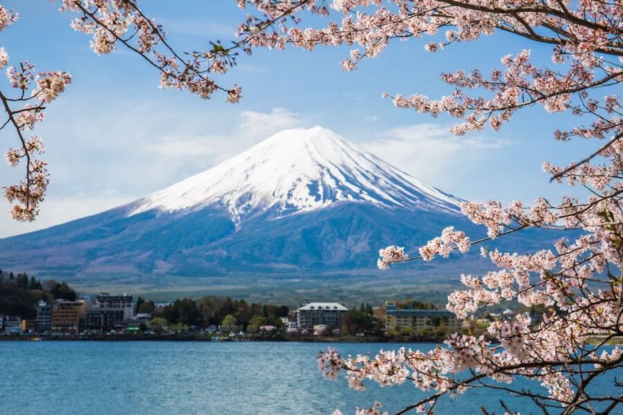 Sightseeing Day Trip to Mount Fuji and Hakone Green Number - Kachi Kachi Ropeway and the value of changing viewpoints