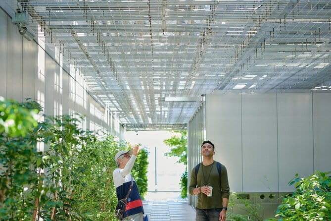 Small-Group Architecture Tour in Ginza, Tokyo - Why Ginza works so well for an architecture walk
