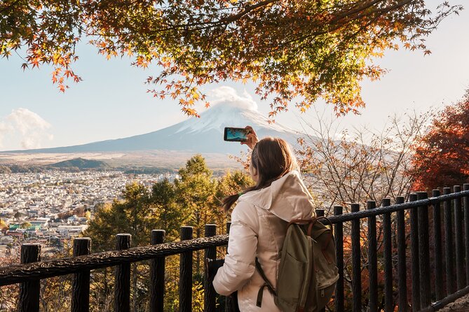 Small Group Tour Mount Fuji and Lake Kawaguchi from Tokyo - Key points at a glance