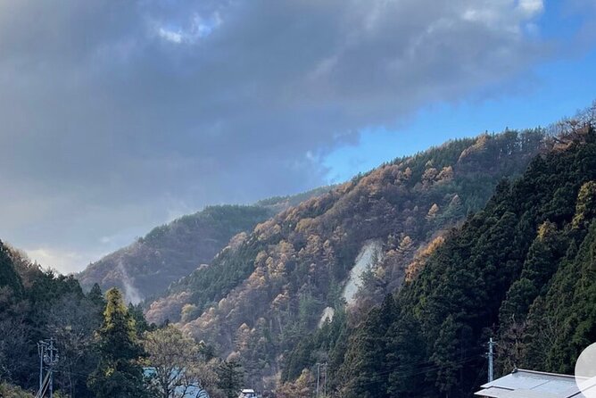 Snow Monkey Nagano Day Tour by Car English Driver in Person Guide - Is $788.35 good value for your group?