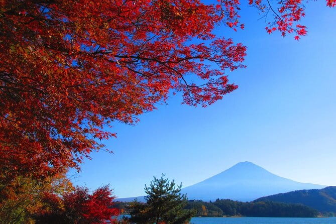 Snow Monkey Park and Miso Production Tour Bullet Train from Tokyo - Obuse, Hokusai, and chestnut country