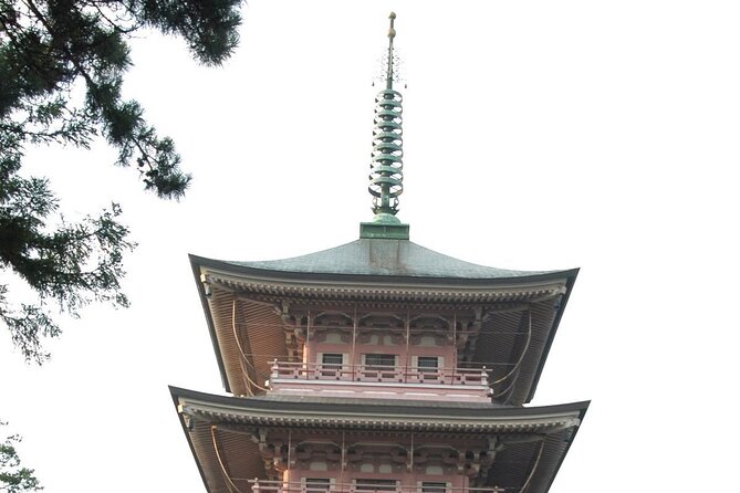 Snow Monkey Park & Zenkoji Temple Nagano Pvt. Full Day Tour. - Zenkoji Temple connects the day to Japanese Buddhism