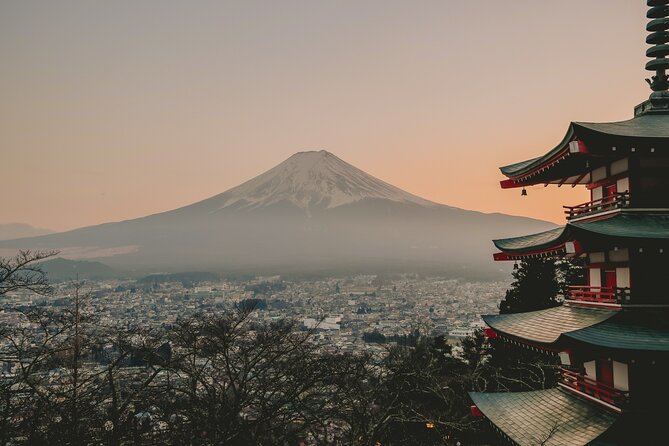 Snow monkeys from Tokyo: Full-Day Private trip with Local Guide