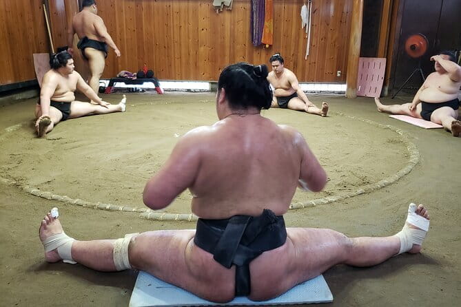 Sumo Practice Viewing Guided Tour and Photo with Sumo Wrestlers - Key points to know before you book