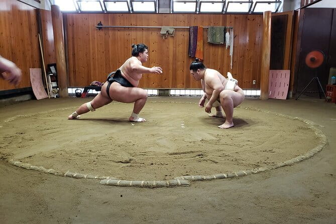 Sumo Practice Viewing Guided Tour and Photo with Sumo Wrestlers - Why watching practice is different from seeing a sumo tournament