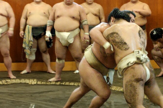 Sumo Training Watching Experience in Tokyo - Key points to know before booking