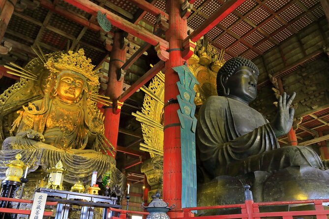Super Express Nara & Kyoto Private 1-Day Tour from Tokyo - What the private guide adds