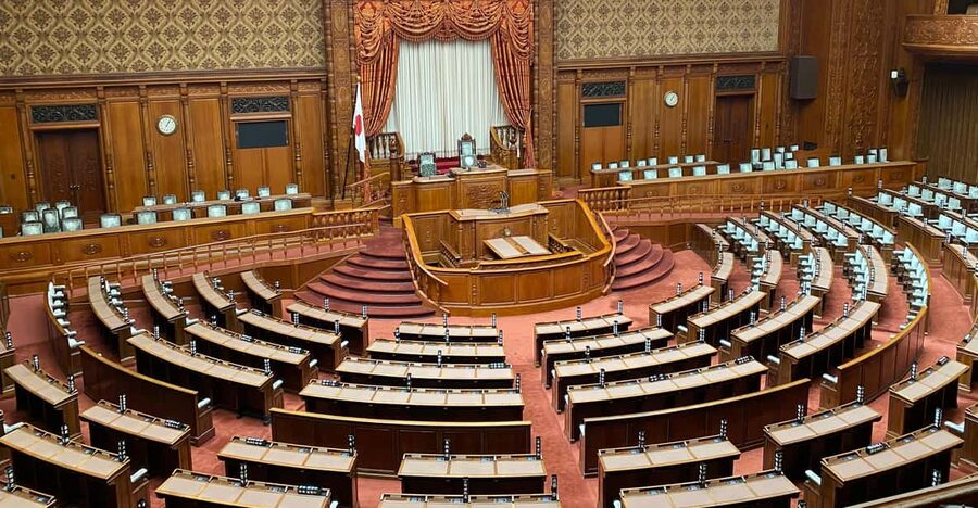 Tameike: Exploring the Heart of Japanese Politics Tour - Key points at a glance