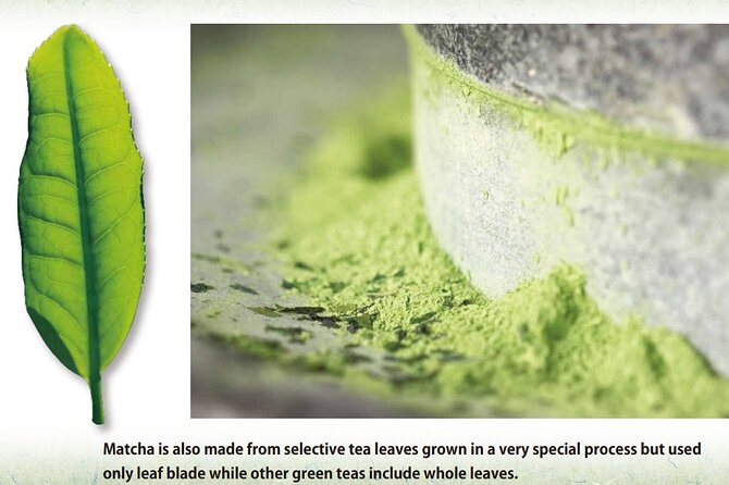Tea Ceremony Workshop in Tokyo by the Experienced Instrucor - Sweets and the meaning of hospitality